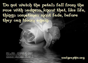 Do not watch the petals fall from the rose with sadness, know that ...
