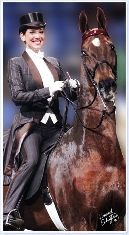 ... Horses 3, Gait Horses, Horses Saddlebred, Saddlebred Horses Quotes