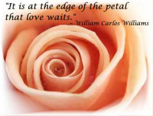 Or perhaps the quote that we consider to be the ultimate declaration ...