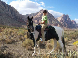 Rocky Mountain Gaited Horses Sale