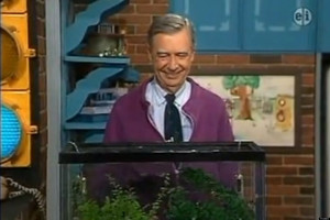 Go Back > Images For > Mr Rogers Children Quotes
