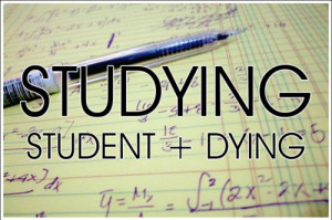 dying, formula, funny, love this, magic, math, nerd, school, student ...