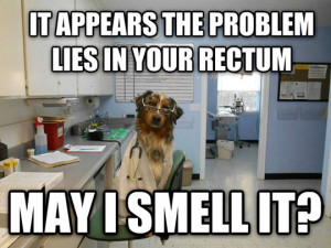 funny-picture-scientist-dog-smell-lab
