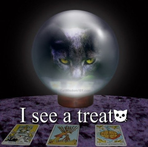 cat-crystal-ball-tarot-cute