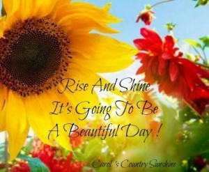 Beautiful day quote via Carol's Country Sunshine on Facebook Good ...