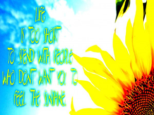 Sunshine flower misc quotes abstract