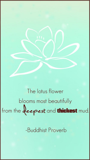 ... Buddha Quotes Tattoo, Flowers Bombs, Buddhists Quotes, Lotus Blossoms