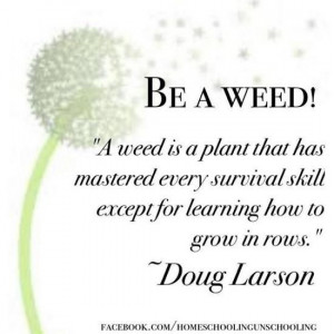Images be a weed picture quotes image sayings