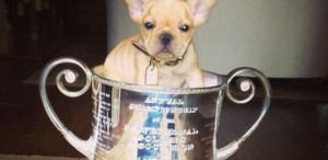 Jason Dufner Dog