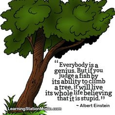 Multiple Intelligences Poster Set