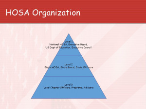 HOSA Organization Level 1 National HOSA, Executive Board, US Dept of ...