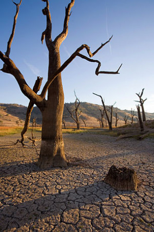 Houseboats sit in the drought lowered waters of Oroville Lake, near ...
