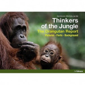 Thinkers of the Jungle: The Orangutan Report