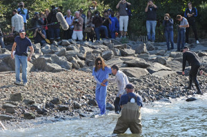 Robin Williams Quotes On Addiction