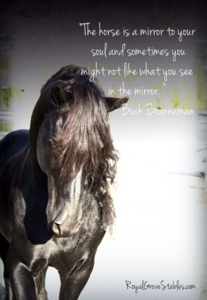 horse quote