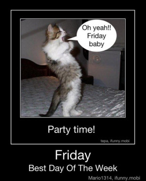 oh yeah its friday kitten funny cute pics
