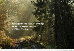 Come Forth Into The Lights Of Things, Let Nature Be Your Teacher