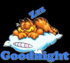 Animated Graphic good night Garfield More