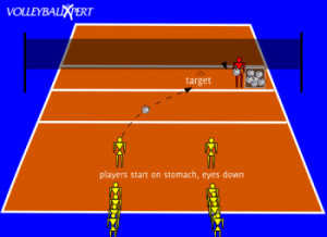 Related Pictures high school volleyball girls shorts