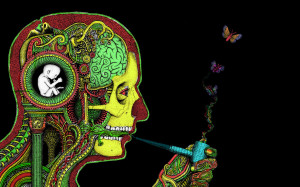 art dark skull psychedelic butterfly mood marijuana anatomy wallpaper ...