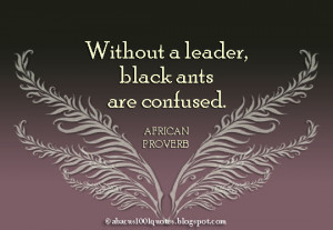 Without a leader, black ants are confused.