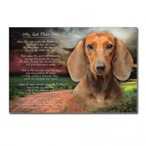 ... Animal Postcards > 