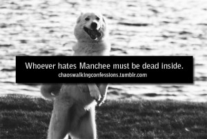 Found on chaoswalkingconfessions.tumblr.com