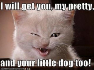 will get you my pretty, and your little dog too, funny quotes
