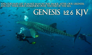 Genesis 1:26 Whale Ocean Wallpaper