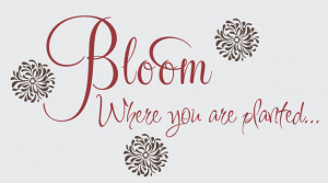 Catalog > Bloom Where you Are Planted, Vinyl Wall Design