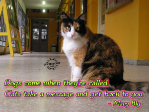 ... www.quotesbuddy.com/cat-quotes/difference-between-dogs-and-cats