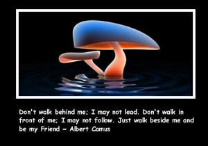 friends quotes bringing to the fore the criteria for friendship ...