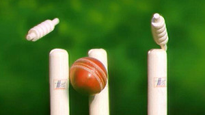 Cricket Wickets And Ball...
