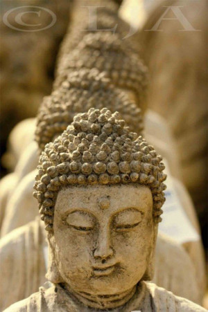 Buddha 10X15, The Buddha, Tibetan Buddha, Fine Art Photography, Buddha ...