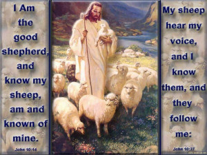 Let The Good Shepherd lead us into 2013