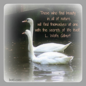 Look for the beauty in nature! #quote #life #beauty #nature