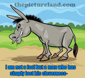 Funny Picture Of Knight On Donkey With Funny Sayings About Bad Times