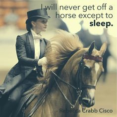 Arabian Horse Times Quotes...