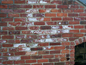 Back > Gallery For > Quotes Harry Lime