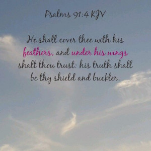 can rest and be safe under His wings