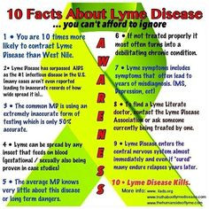 10 Facts About Lyme Disease... You Can't Afford to Ignore More