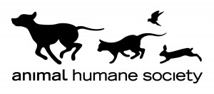 Sedona Humane Society Adoption Puppies