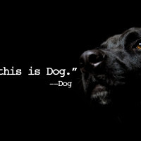 Inspirational quote: Yes, this is dog. By dog