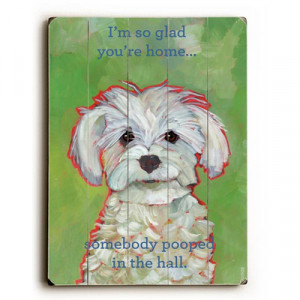 Funny Dog Signs: I'm So Glad You're Home, Somebody Pooped in the Hall