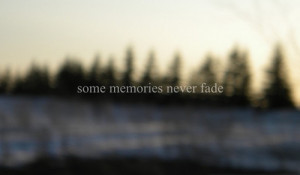 everything, fade, memories, memory, photography, quote, saying, text ...