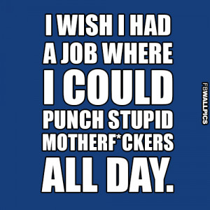 Punching Stupid Motherf ckers Funny Quote Picture