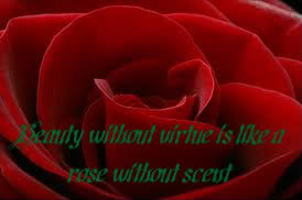 Beauty Without Virtue is Like it Rose Without Scent – Beauty Quote