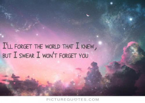 ll forget the world that I knew, but I swear I won't forget you.