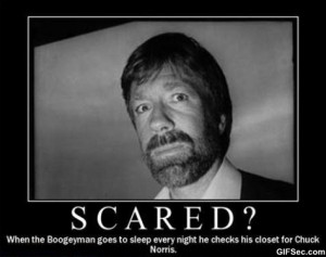Funny Pictures Megathread Page Chuck Norris Quotes