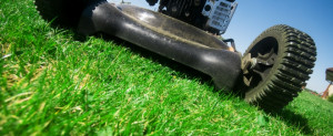 lawn mowing logan 1300 702 353 free quotes our lawn